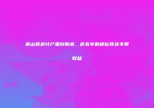 英山县茶叶产量创新高，茶农辛勤耕耘收获丰厚收益