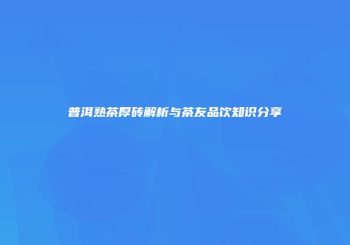 普洱熟茶厚砖解析与茶友品饮知识分享
