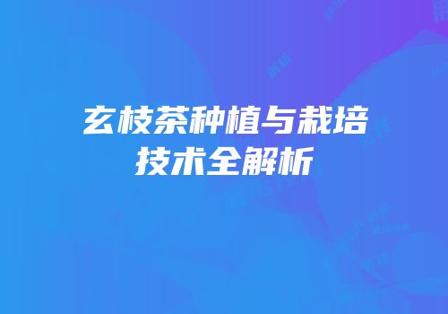 玄枝茶种植与栽培技术全解析