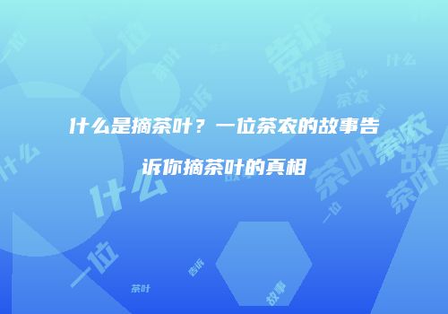 什么是摘茶叶？一位茶农的故事告诉你摘茶叶的真相