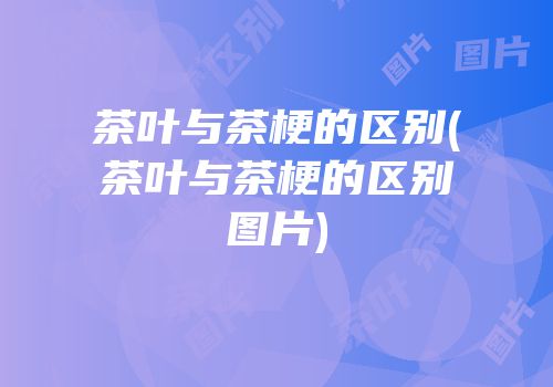 茶叶与茶梗的区别(茶叶与茶梗的区别图片)