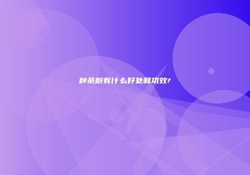 种茶树有什么好处和功效?