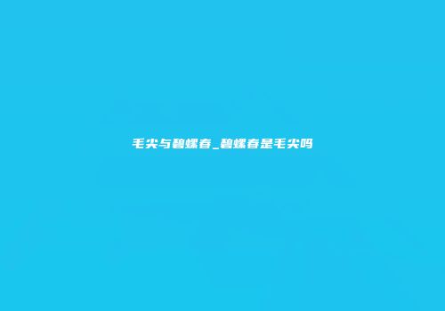 毛尖与碧螺春_碧螺春是毛尖吗