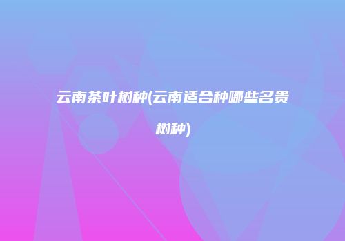 云南茶叶树种(云南适合种哪些名贵树种)