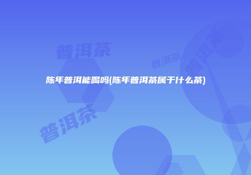 陈年普洱能喝吗(陈年普洱茶属于什么茶)