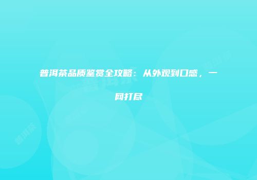 普洱茶品质鉴赏全攻略：从外观到口感，一网打尽