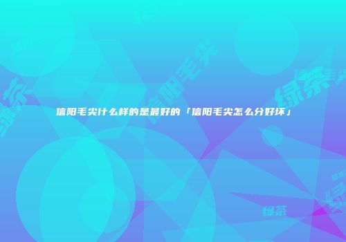 信阳毛尖什么样的是最好的「信阳毛尖怎么分好坏」
