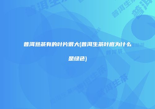 普洱熟茶有的叶片很大(普洱生茶叶底为什么是绿色)