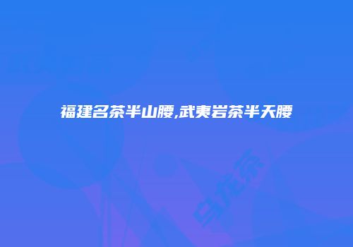 福建名茶半山腰,武夷岩茶半天腰