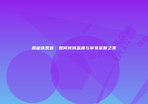 揭秘铁观音：如何辨别品质与享受茶香之美