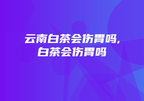 云南白茶会伤胃吗,白茶会伤胃吗