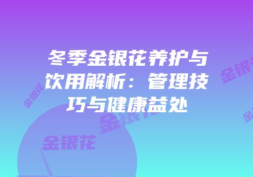冬季金银花养护与饮用解析：管理技巧与健康益处