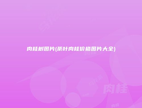 肉桂树图片(茶叶肉桂价格图片大全)