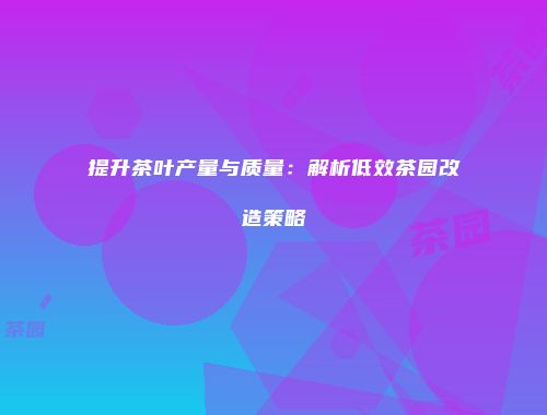 提升茶叶产量与质量：解析低效茶园改造策略