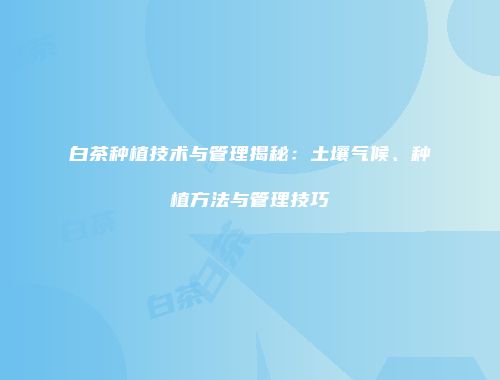 白茶种植技术与管理揭秘：土壤气候、种植方法与管理技巧