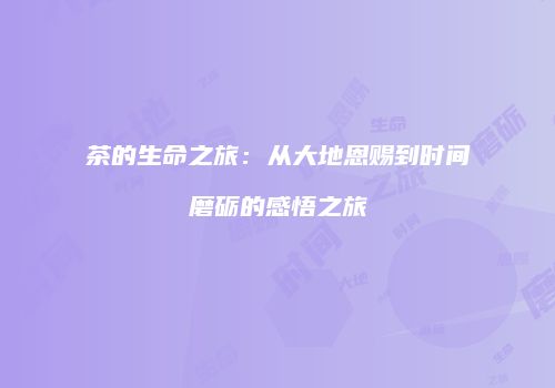 茶的生命之旅：从大地恩赐到时间磨砺的感悟之旅