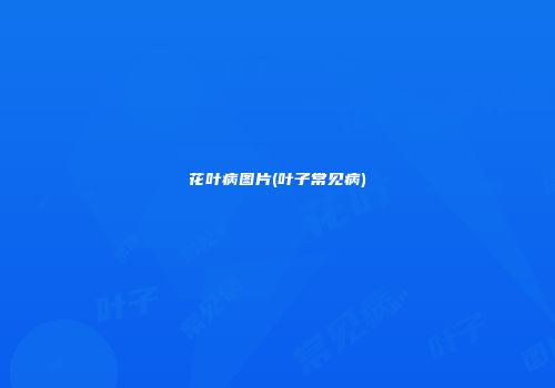 花叶病图片(叶子常见病)