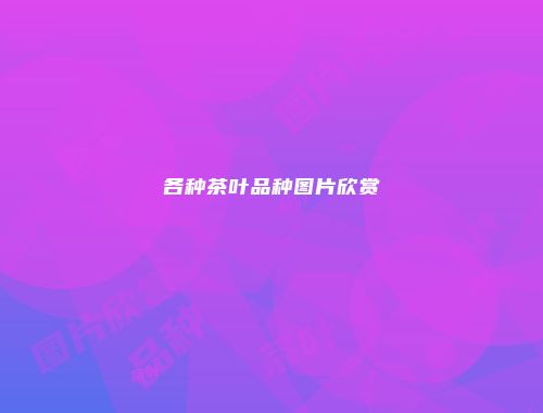 各种茶叶品种图片欣赏