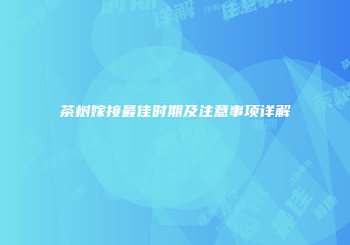 茶树嫁接最佳时期及注意事项详解
