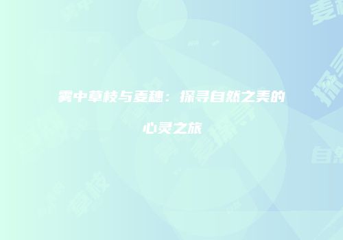 雾中草枝与麦穗：探寻自然之美的心灵之旅