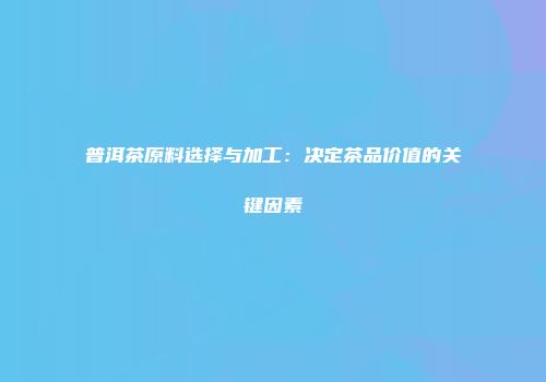 普洱茶原料选择与加工：决定茶品价值的关键因素