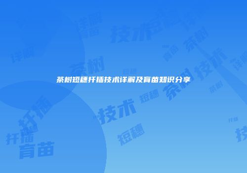 茶树短穗扦插技术详解及育苗知识分享