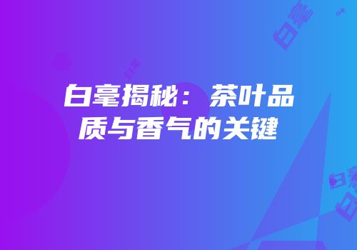 白毫揭秘：茶叶品质与香气的关键