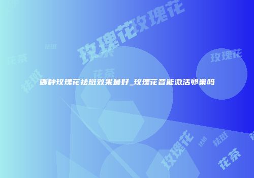 哪种玫瑰花祛斑效果最好_玫瑰花昔能激活卵巢吗