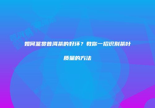如何鉴赏普洱茶的好坏？教你一招识别茶叶质量的方法