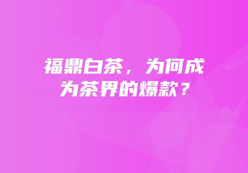 福鼎白茶，为何成为茶界的爆款？