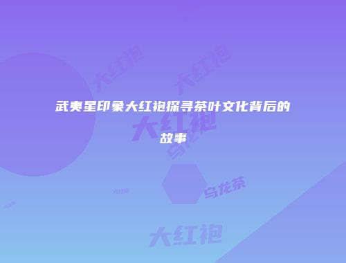 武夷星印象大红袍探寻茶叶文化背后的故事