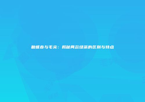 碧螺春与毛尖：揭秘两款绿茶的区别与特点