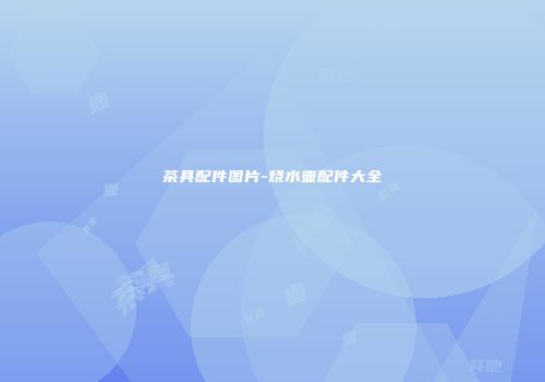 茶具配件图片-烧水壶配件大全