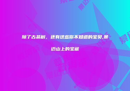 除了古茶树，还有这些你不知道的宝贝,景迈山上的宝藏
