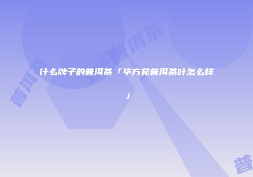 什么牌子的普洱茶「华方苑普洱茶叶怎么样」