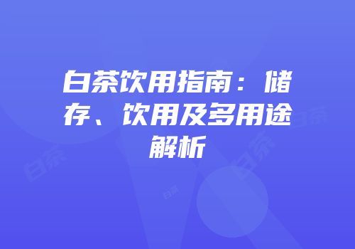 白茶饮用指南：储存、饮用及多用途解析