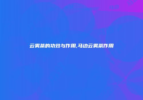 云雾茶的功效与作用,马边云雾茶作用