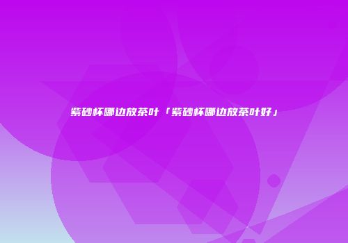 紫砂杯哪边放茶叶「紫砂杯哪边放茶叶好」