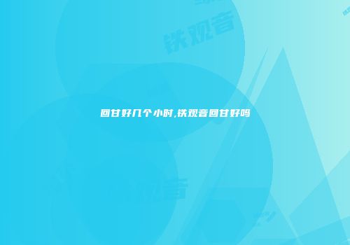 回甘好几个小时,铁观音回甘好吗