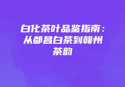 白化茶叶品鉴指南：从都昌白茶到赣州茶韵