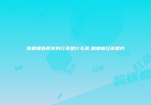 像碧螺春形状的红茶是什么茶,碧螺春红茶图片
