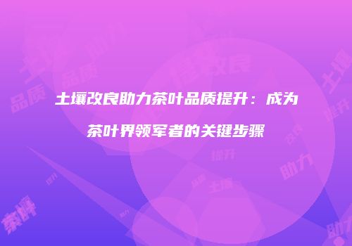 土壤改良助力茶叶品质提升：成为茶叶界领军者的关键步骤