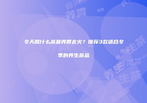 冬天喝什么茶最养胃去火？推荐3款适合冬季的养生茶品