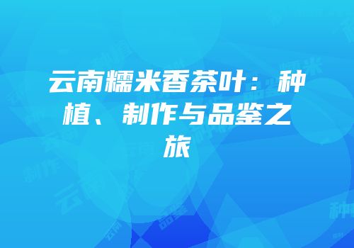 云南糯米香茶叶：种植、制作与品鉴之旅