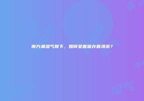 南方潮湿气候下，如何妥善保存普洱茶？