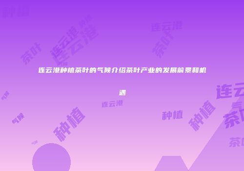 连云港种植茶叶的气候介绍茶叶产业的发展前景和机遇