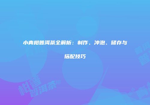 小青柑普洱茶全解析：制作、冲泡、储存与搭配技巧