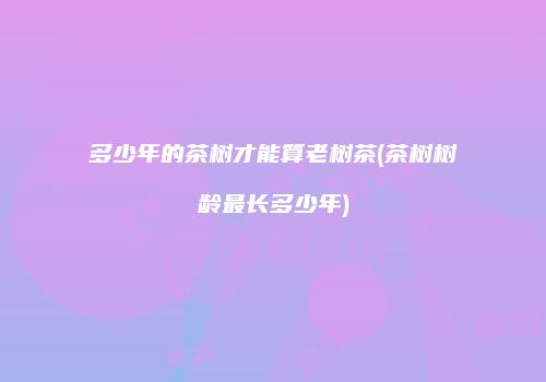 多少年的茶树才能算老树茶(茶树树龄最长多少年)