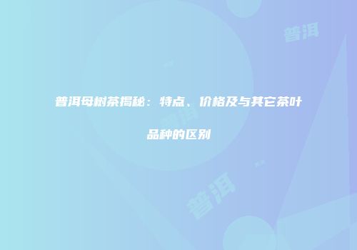 普洱母树茶揭秘：特点、价格及与其它茶叶品种的区别