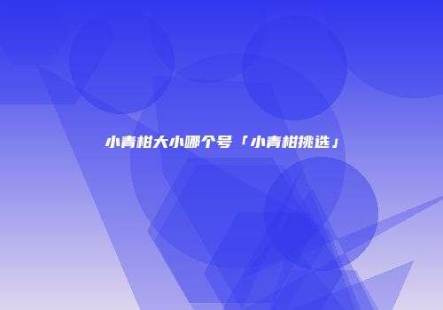 小青柑大小哪个号「小青柑挑选」